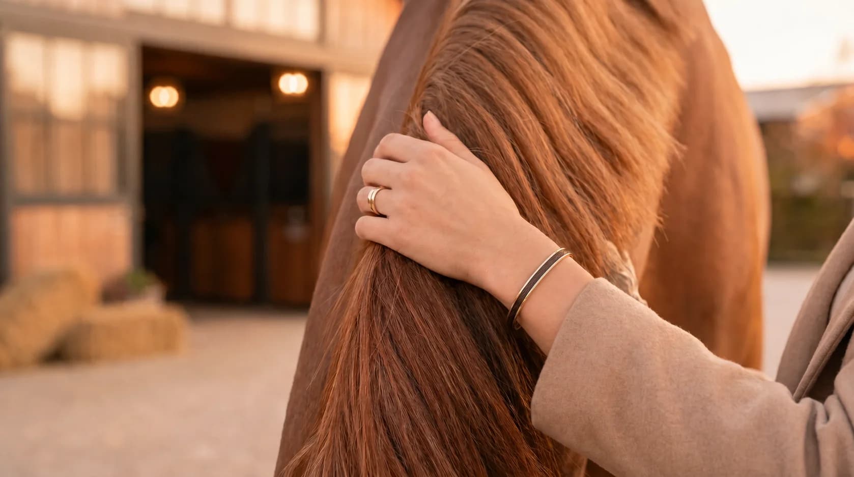 Main avec bracelet et bague Ausica caressant la crinière d'un cheval bai, devant une écurie